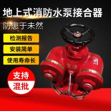 水泵接合器 地上式消防水泵接合器 SQD多用式消防水泵接合器