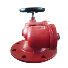 地上地下消防新型多功能水泵接合器SQD100/150-1.6消防水泵结合器