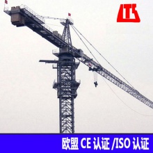 厂家直供 出口型10吨塔吊, 10吨塔式起重机,10吨塔机 QTZ160塔机 