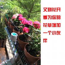 盆栽自动浇花器 办公室阳台花园盆栽 花盆出差智能浇花浇水滴灌